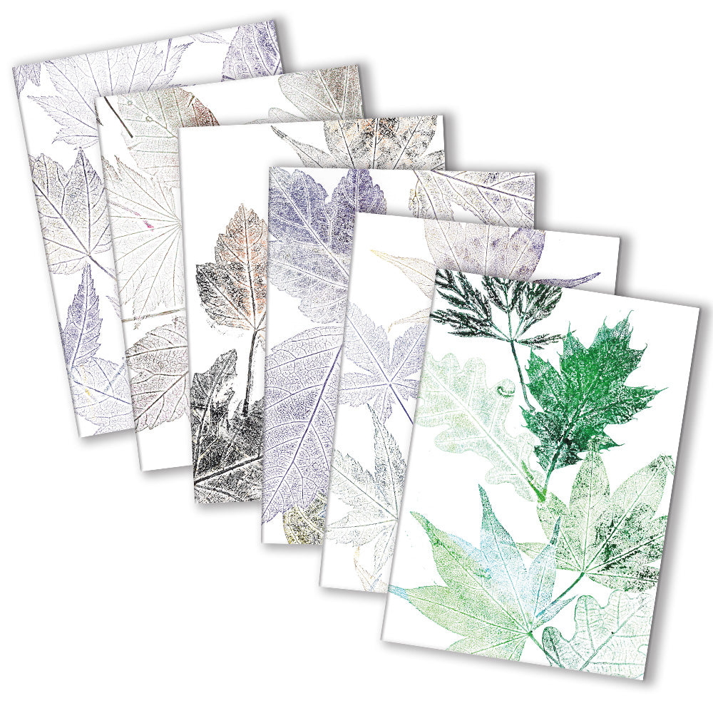 Antique Botanical Art Card Collection